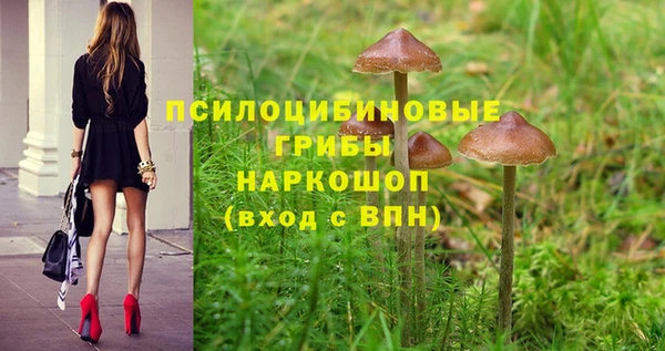 шишки Богданович